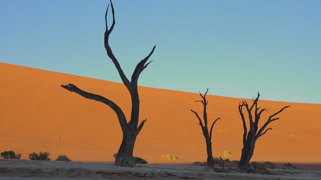 Namib-Naukluft-پارک مرده